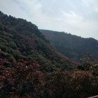 評論圖片 2
