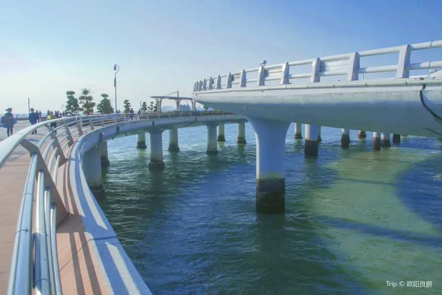 Платформа для видения моста Ву