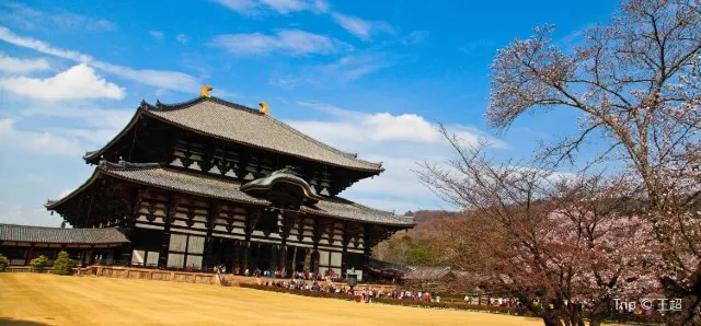 11 Traditional and Fun Things to Do in Nara