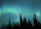 Northern light and Nature: Awesome Guide to Alaska