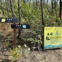 評論圖片 9