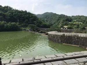 Honen Pond Dam