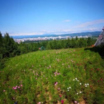 評論圖片 7