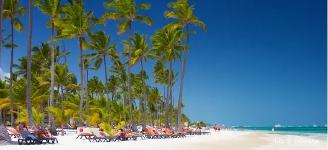 A Travel Guide to Punta Cana 