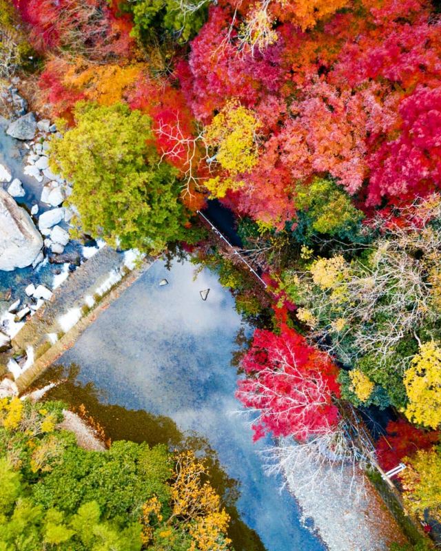 大阪自由行 11月日本賞楓必去 精選10個大阪紅葉景點遊記攻略 Trip Com遊玩攻略
