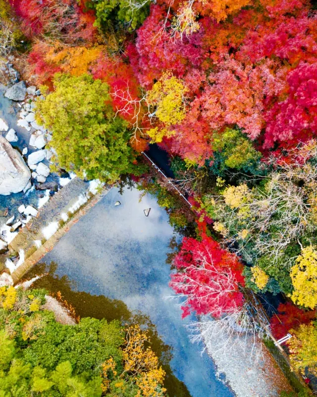 【大阪自由行】日本賞楓必去！精選10個大阪紅葉景點