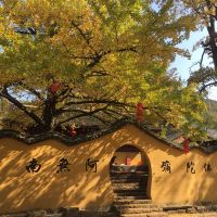 評論圖片 5