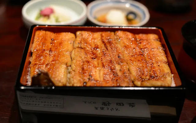  11 Top Eel Rice Restaurants in Tokyo 2024