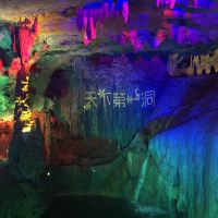 評論圖片 5