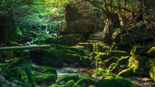 Libo Maolan National Nature Reserve