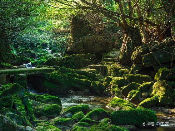 Libo Maolan National Nature Reserve