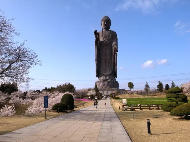10 Things You Have to do in Ibaraki