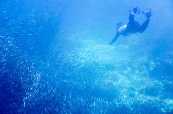 Top 3 Water Fun Attractions in Cebu