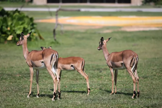 10 Best Attractions in Guangzhou