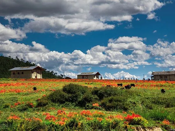 Top Recommendations for Autumn Holidays