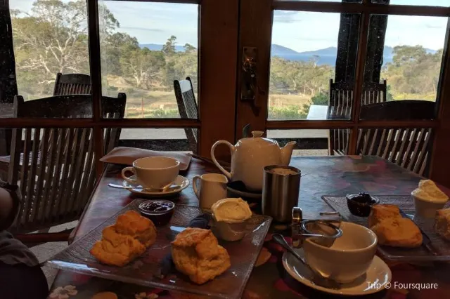 【澳洲塔斯曼尼亞】塔斯曼尼亞吃喝玩樂一站全搞定