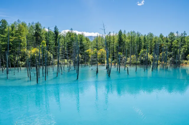 【札幌自由行】札幌必去景點、人氣美食！連機票優惠、酒店推介