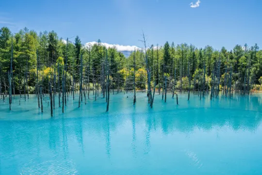 【札幌自由行】札幌必去景點、人氣美食!連機票優惠、酒店推介