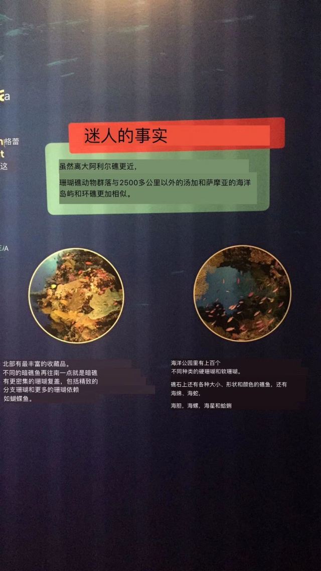 凱恩斯水族館