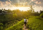 What To Do In Ubud With The Kids: 3 Easy Treks For The Family