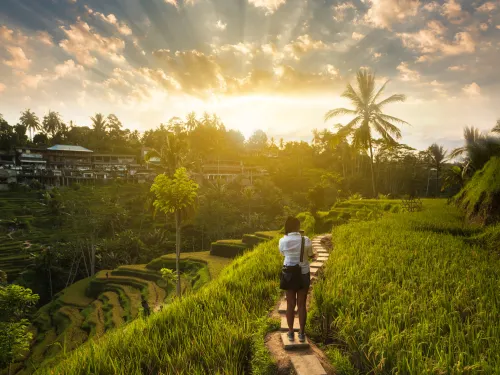What To Do In Ubud With The Kids: 3 Easy Treks For The Family