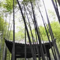 評論圖片 4