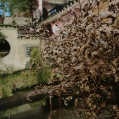 居善堂官邸私厨 User Photo