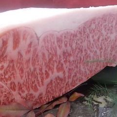 Miyazaki Beef Oyodo Kahan Miyachiku 여행 사진