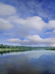 Yinchuan Mingcui National Wetland Park