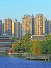 Jinshan Lake Park Phase II