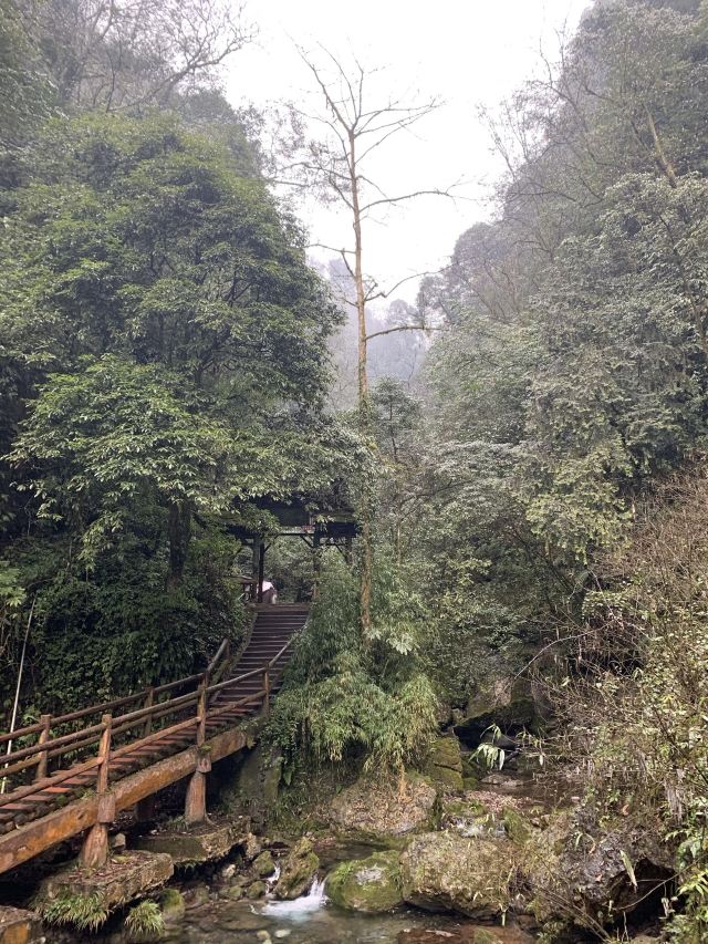 용은협(룽인샤) 잔도