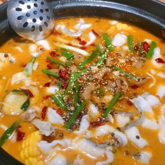 焰小乐de鱼工场(柳市店) User Photo