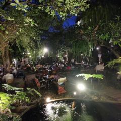 Fern Forest Café 여행 사진