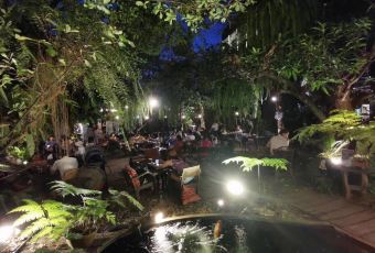 Fern Forest Café User Photo