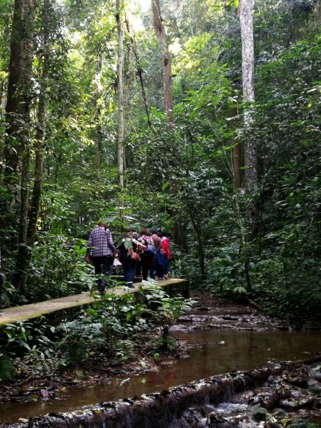 Daluo Forest Park