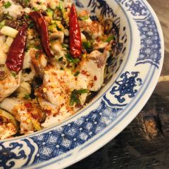 momo's home 여행 사진