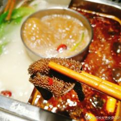 巴奴毛肚火锅(文明路店) User Photo