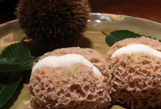 Fujiya 1935 User Photo