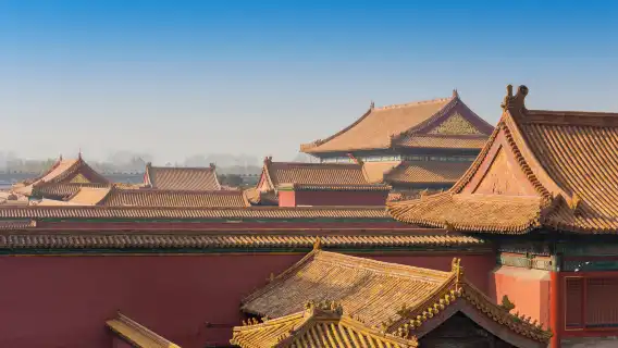 ทัวร์ครึ่งวันพระราชวังต้องห้าม [การศึกษาสำหรับผู้ปกครอง-เด็ก/การบรรยายแบบเข้มข้น 3 ชั่วโมงโดยอาจารย์อาวุโส/สื่อการเรียนรู้ คน เด็ก แต่ละคน ]