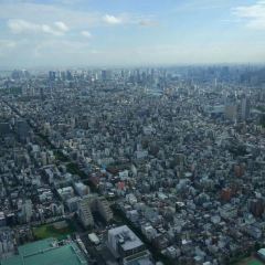 天空LOUNGE TOP of TREE張用戶圖片