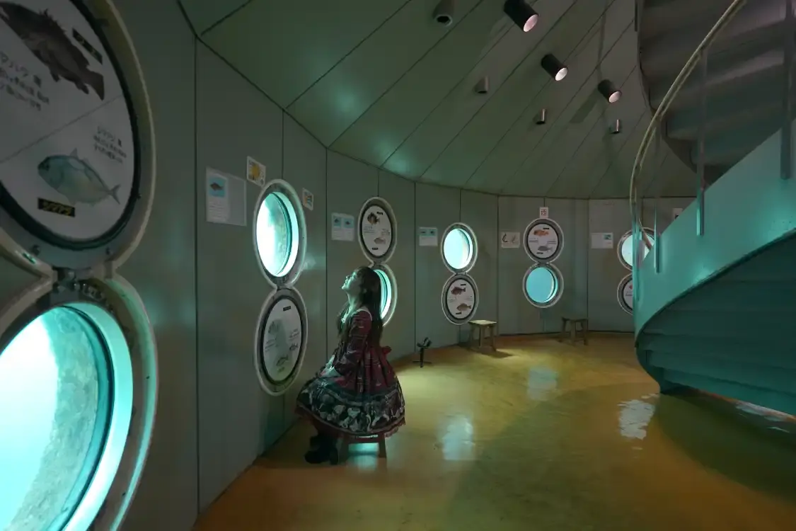 Hotels near Ashizuri Underwater Aquarium