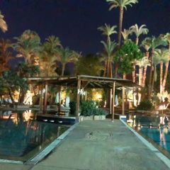 Al Sahaby Lane Restaurant ảnh của người dùng