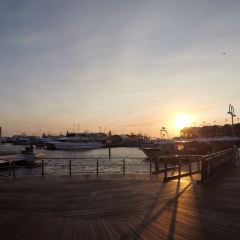 Cicerello's Fremantle User Photo