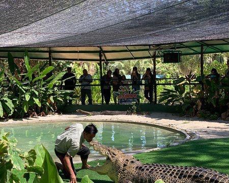 Crocodile Adventureland Langkawi