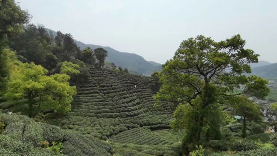 周末难得好天气，阳光正暖，微风不燥，来到茶山，爬山赏景两不误