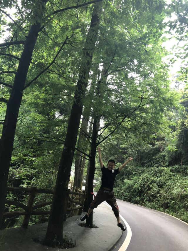 남보산