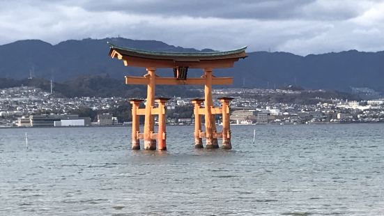 宫岛的特色是严岛神社，居然是浸在海水中的，但大约是因为冬天本