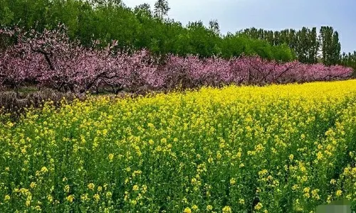 Beijing Pinggu Jinhai Lake