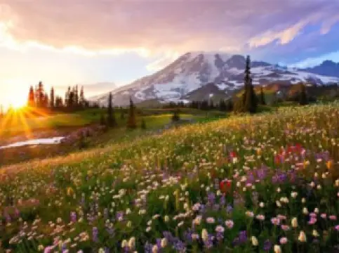 Parco nazionale del Monte Rainier