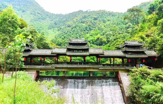 鄰近紫雲谷的酒店